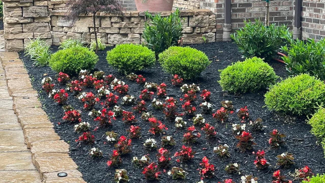 Landscaping: red and white flowers and round shrubs in a mulch bed edged with pavers