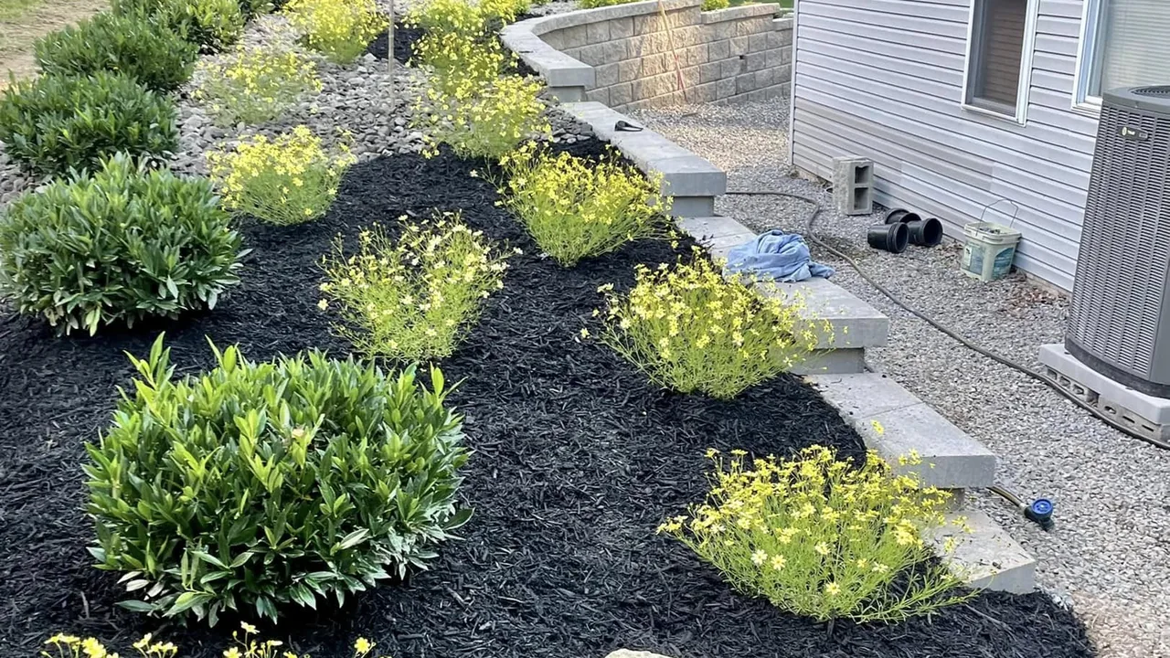 Landscaping: shrubs and perennials in a fresh mulch bed along a block wall