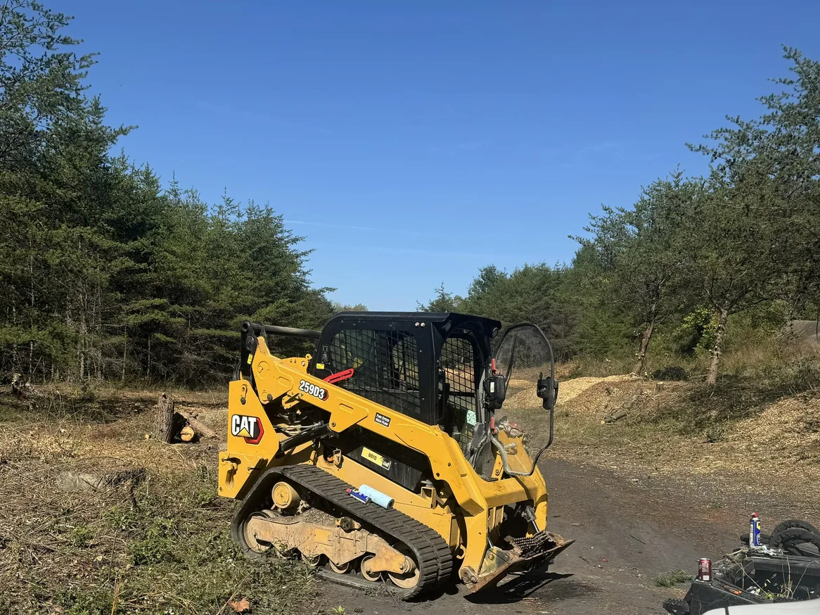 Land clearing: a tracked skid steer on a freshly cleared lane through wooded ground
