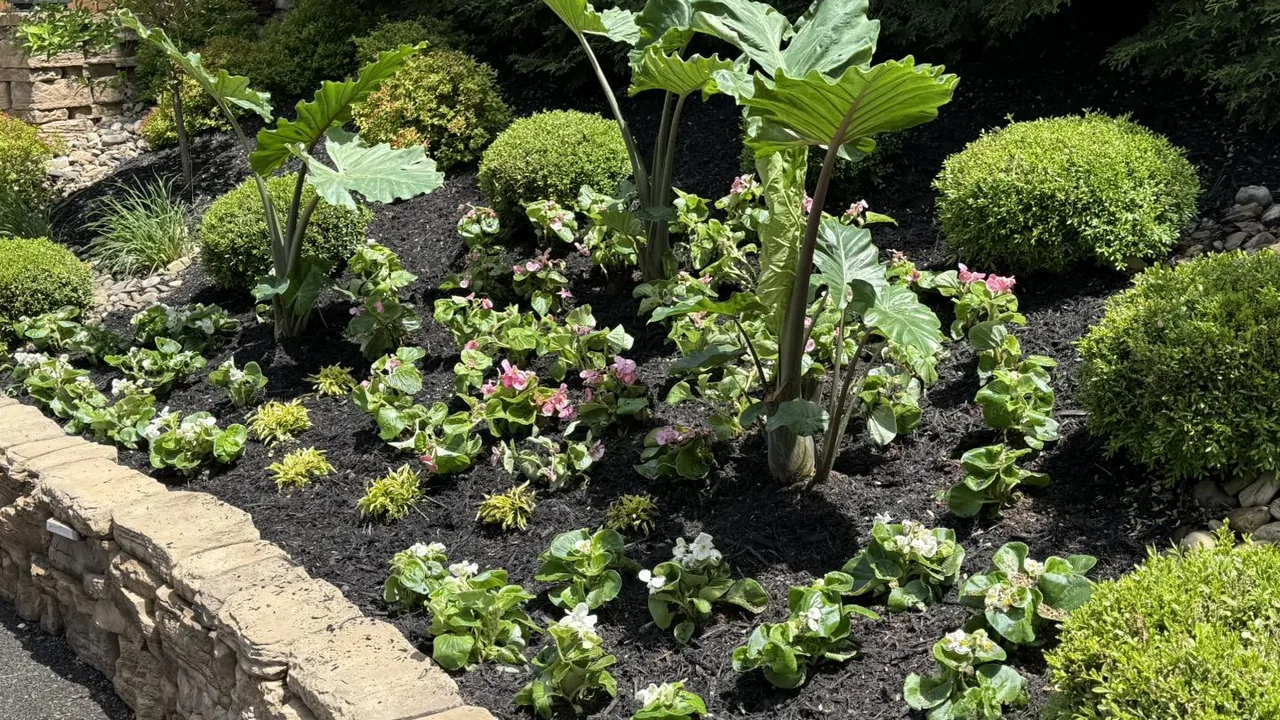 Landscaping services: a mulched planting bed of shrubs and flowers edged with a stone block wall