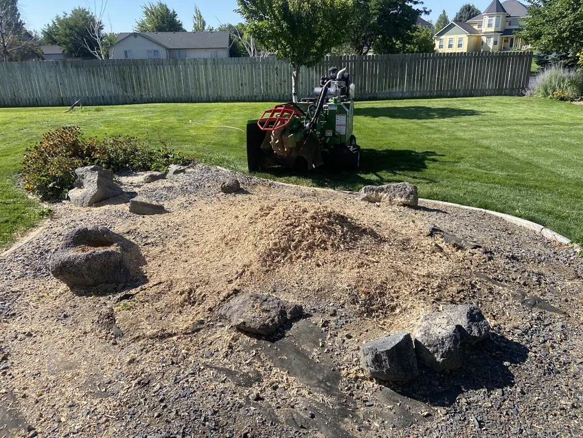 Stump grinding: a stump ground below grade in a gravel bed with a mound of fresh chips and a compact grinder parked on the lawn